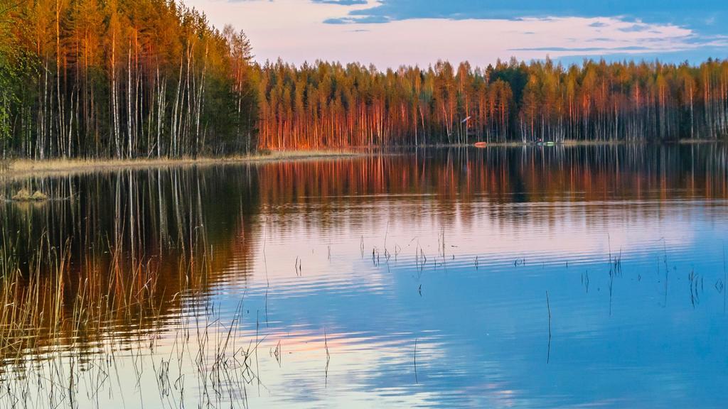 Rajan Loma Cottages Joensuu Eksteriør bilde