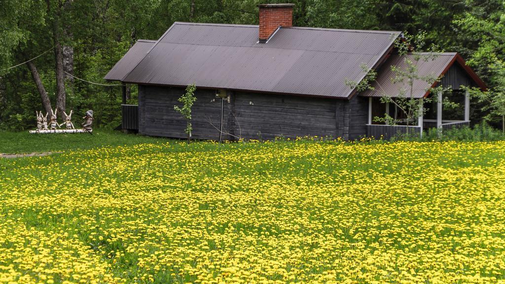 Rajan Loma Cottages Joensuu Eksteriør bilde